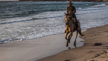Una persona montando a caballo por una playa, con olas y una tierra a lo lejos.