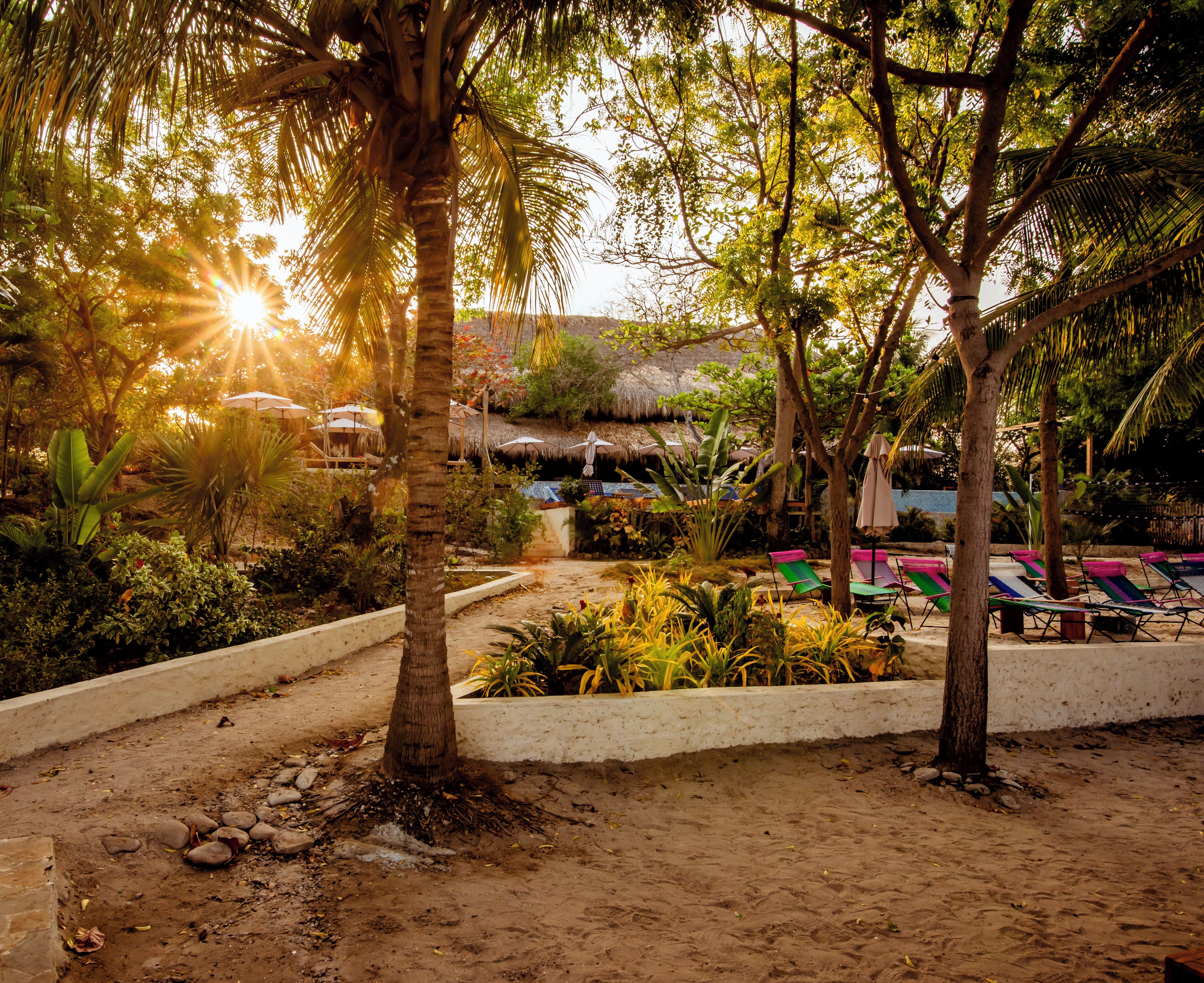 A tropical garden with palm trees, a thatched-roof structure, and colorful lounge chairs.