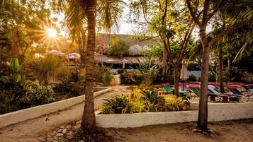 A tropical garden with palm trees, a thatched-roof structure, and colorful lounge chairs.