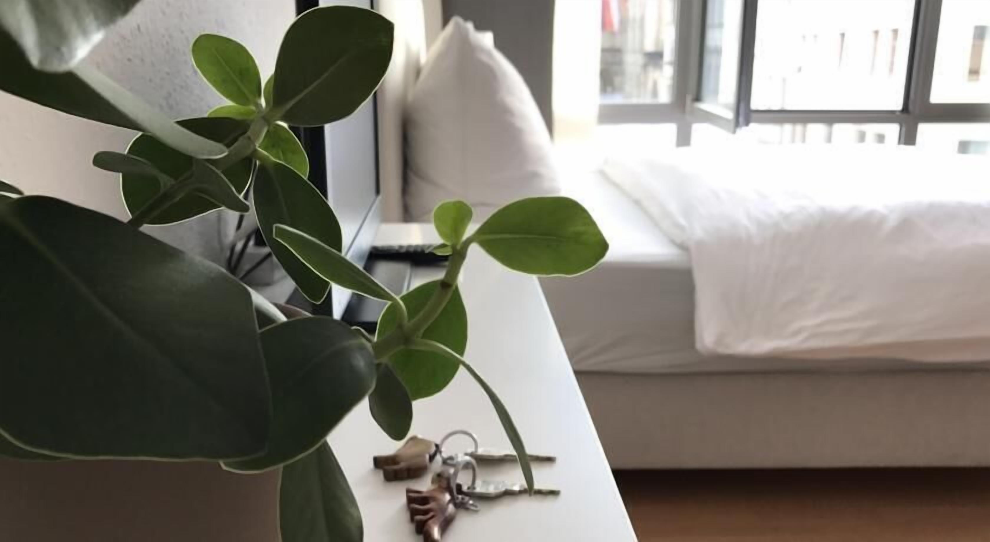 A room with a white sofa, a plant, and a pair of keys on a white surface.