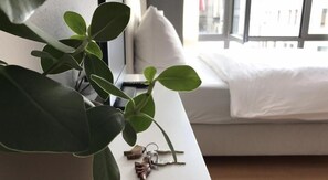 A room with a white sofa, a plant, and a pair of keys on a white surface. - Central Studio Marktplatz (Weimar)
