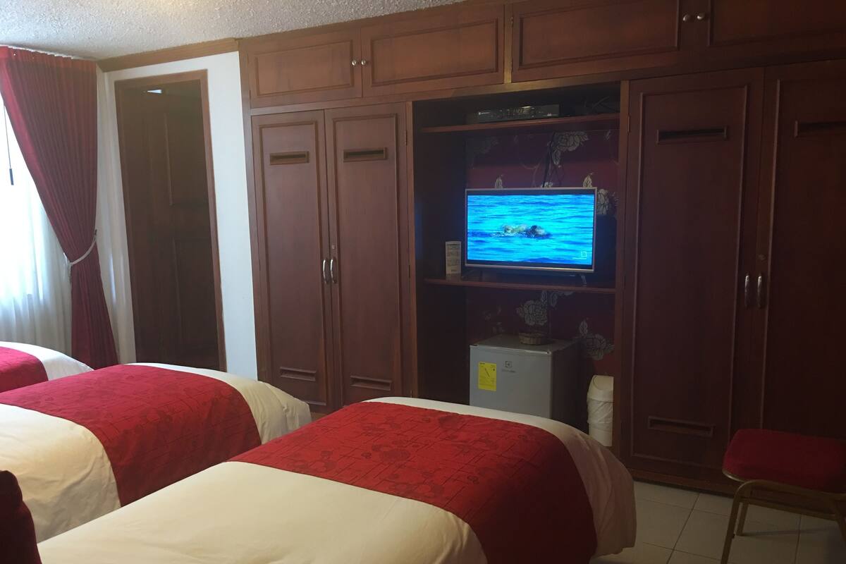 Standard Triple Room, 3 Twin Beds | 1 bedroom, Egyptian cotton sheets, premium bedding, down comforters
