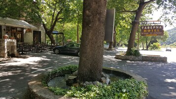 Vista desde la propiedad