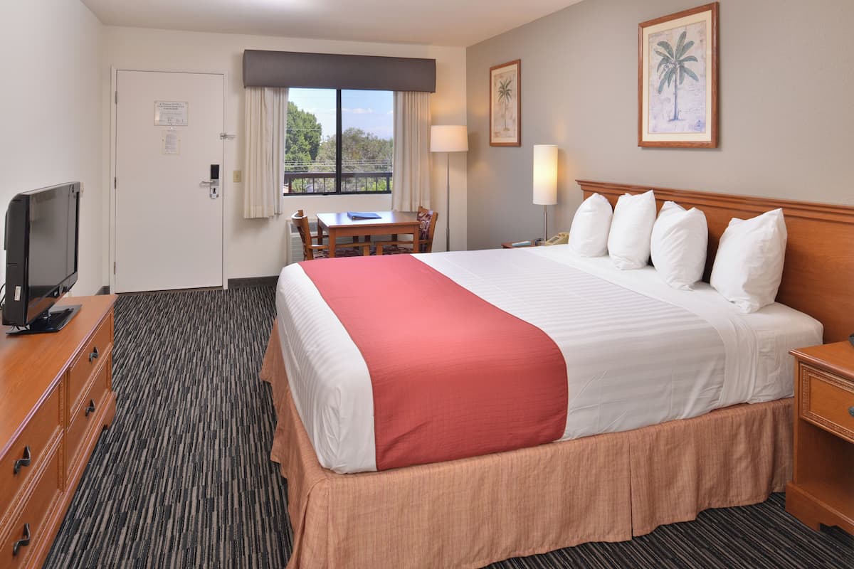 Quarto de hotel com uma cama grande, uma escrivaninha com cadeira, televisão e janela com vista para árvores.