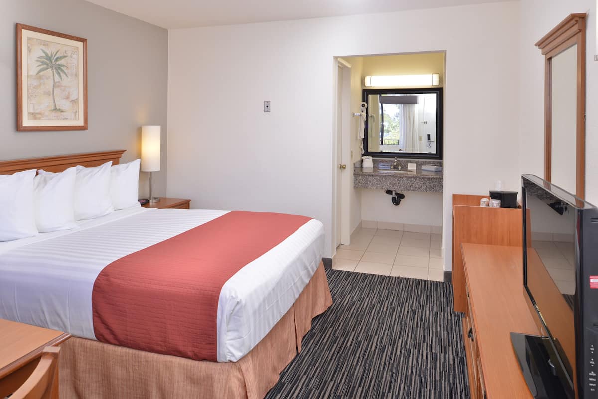 Quarto de hotel com cama, escrivaninha, televisão, banheiro com pia e espelho, e um quadro na parede.