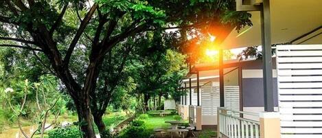 Área da propriedade