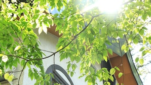 A building with arched windows and a white facade. - Pension ULLR (Hakuba)