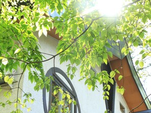 Vista desde la propiedad