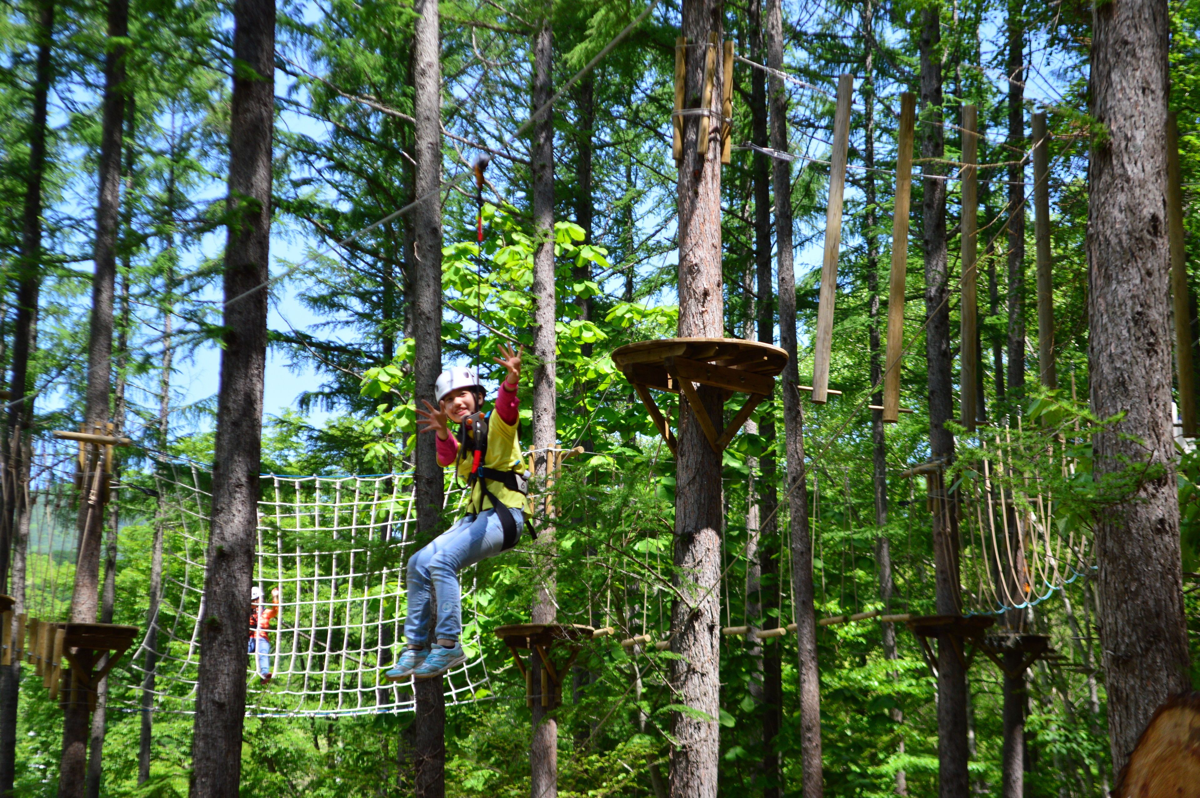 A person navigating a forest obstacle course with rope bridges and platforms.