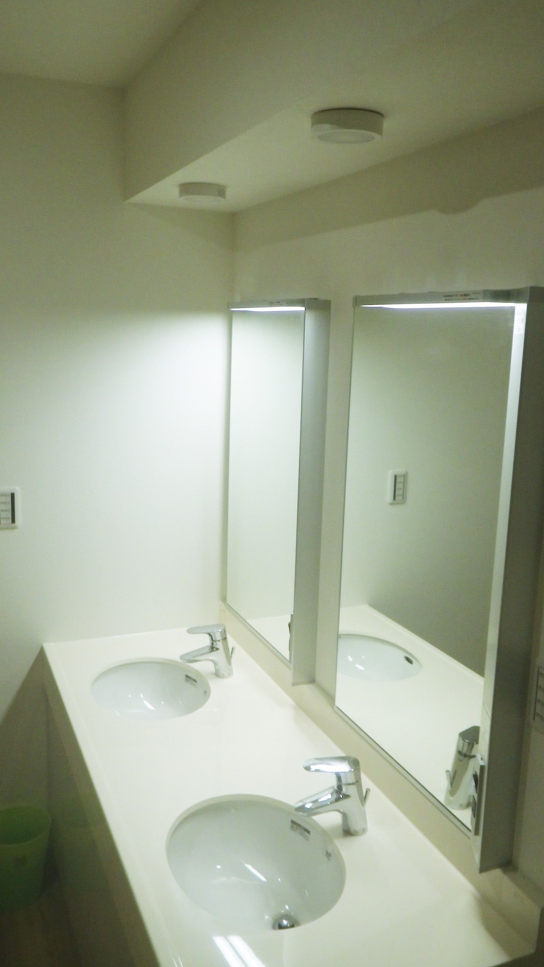 Un baño con dos lavamanos, un espejo y un bote de basura verde.