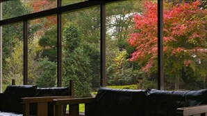 A room with a large window offering a view of a garden with trees and shrubs. - Horohoro Sanso (Date)