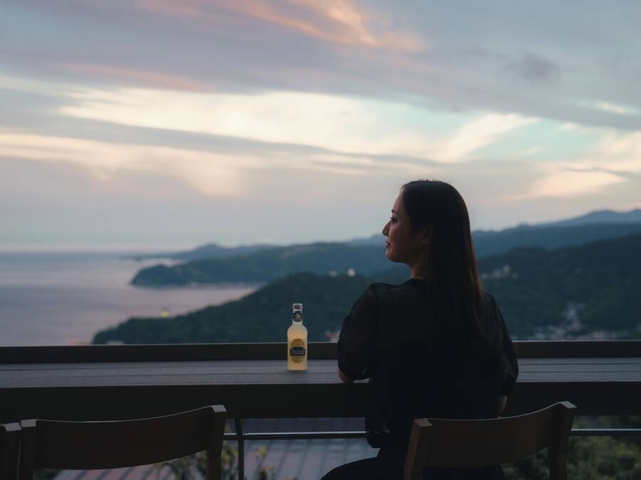 Una persona sentada a una mesa con una botella, contemplando una vista panorámica de montañas y una masa de agua.