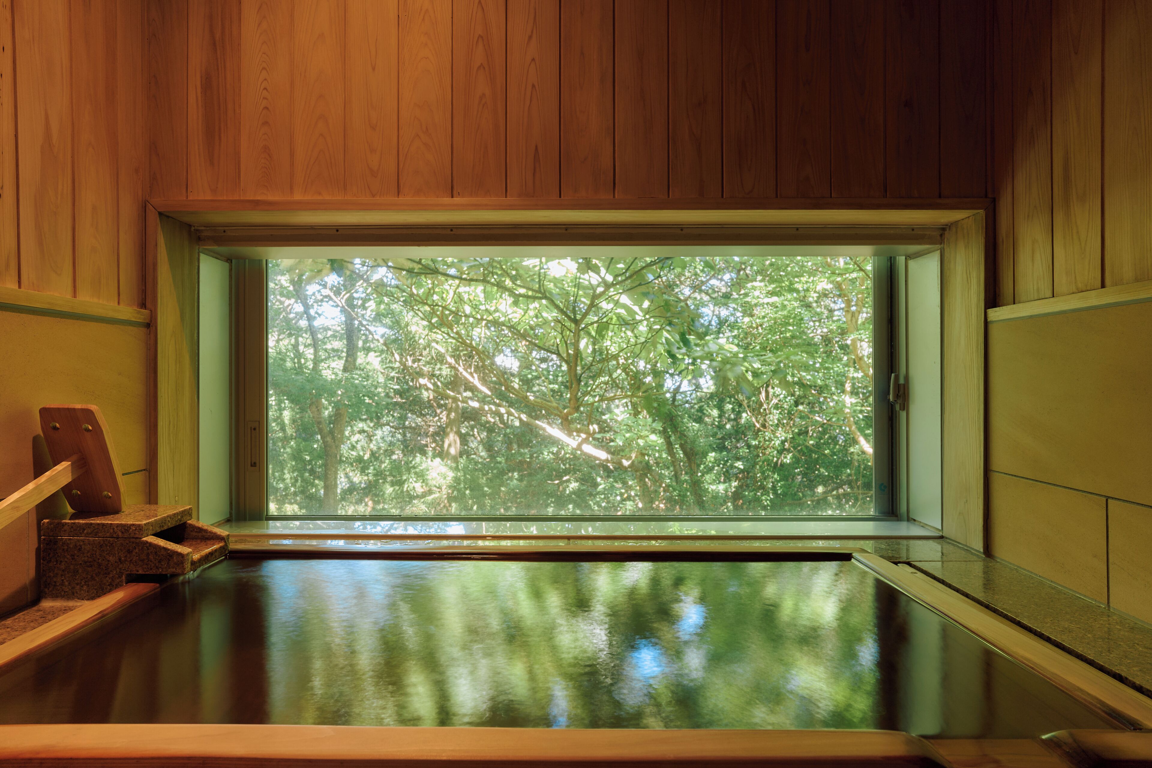Un interior de madera con una ventana que muestra un árbol al exterior.