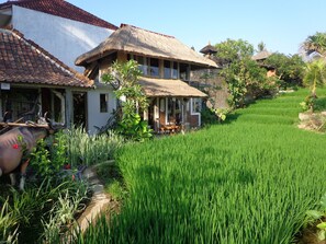 Garden - KTS Balinese Villas (Canggu)