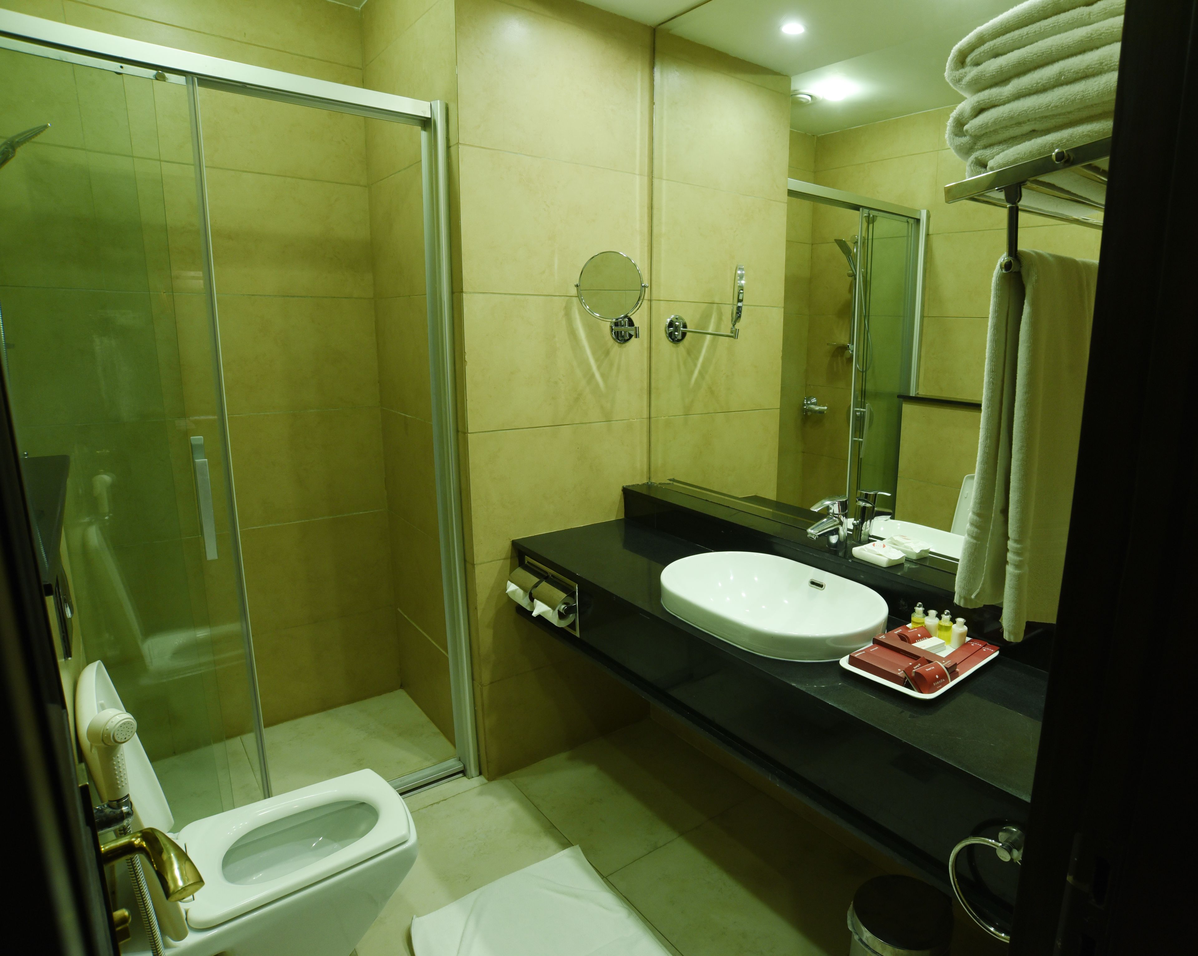 A modern bathroom with a glass shower enclosure, a white sink, and a mirror above the sink.