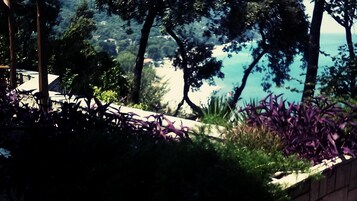 Vista desde la propiedad