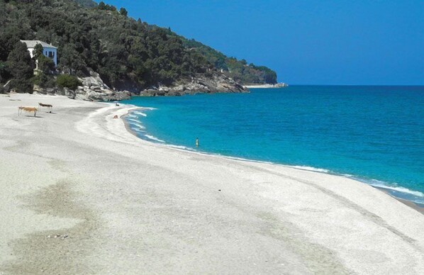 Beach nearby - Hotel Marabou (Zagora-Mouresi)