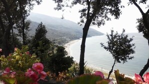 Paisatge costaner amb vista al mar i muntanyes al fons, envoltat d'arbres i plantes amb flors.