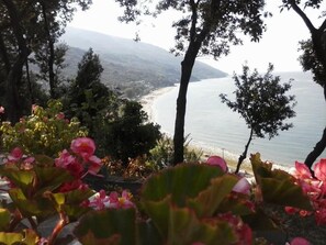 Vista desde la propiedad