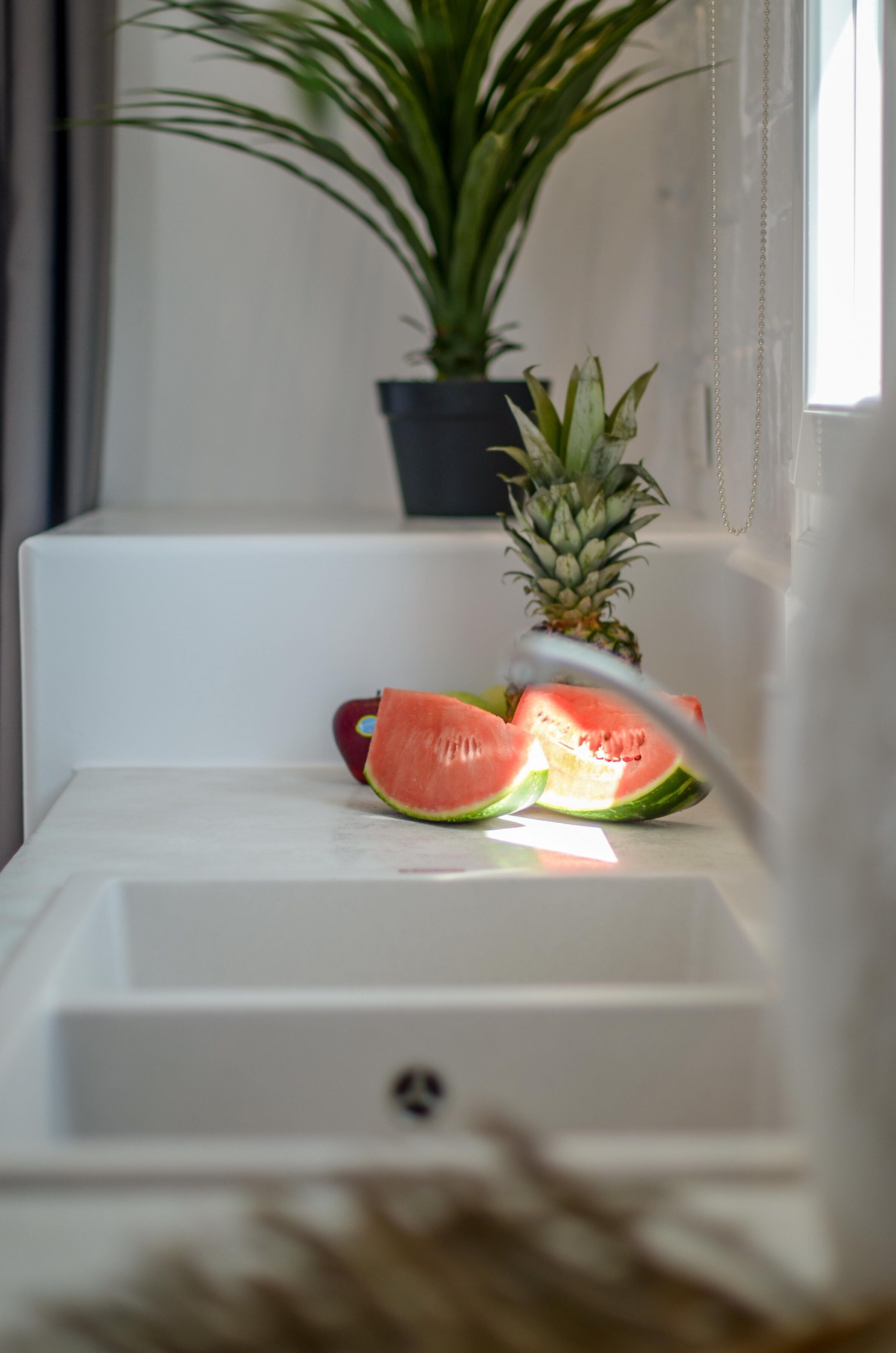 En håndvask med en potteplante og en ananas.
