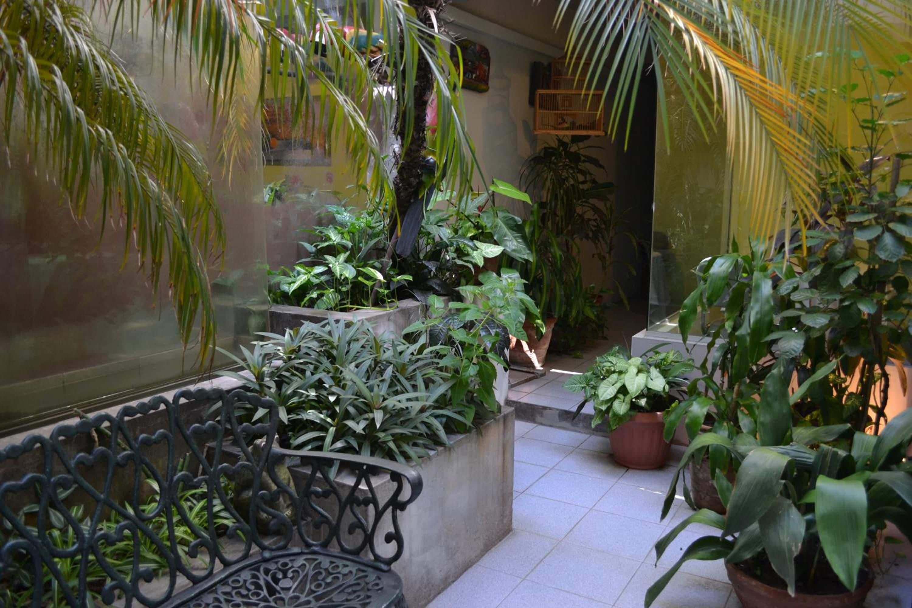 Un patio con plantas en macetas, un banco y un suelo de baldosas.