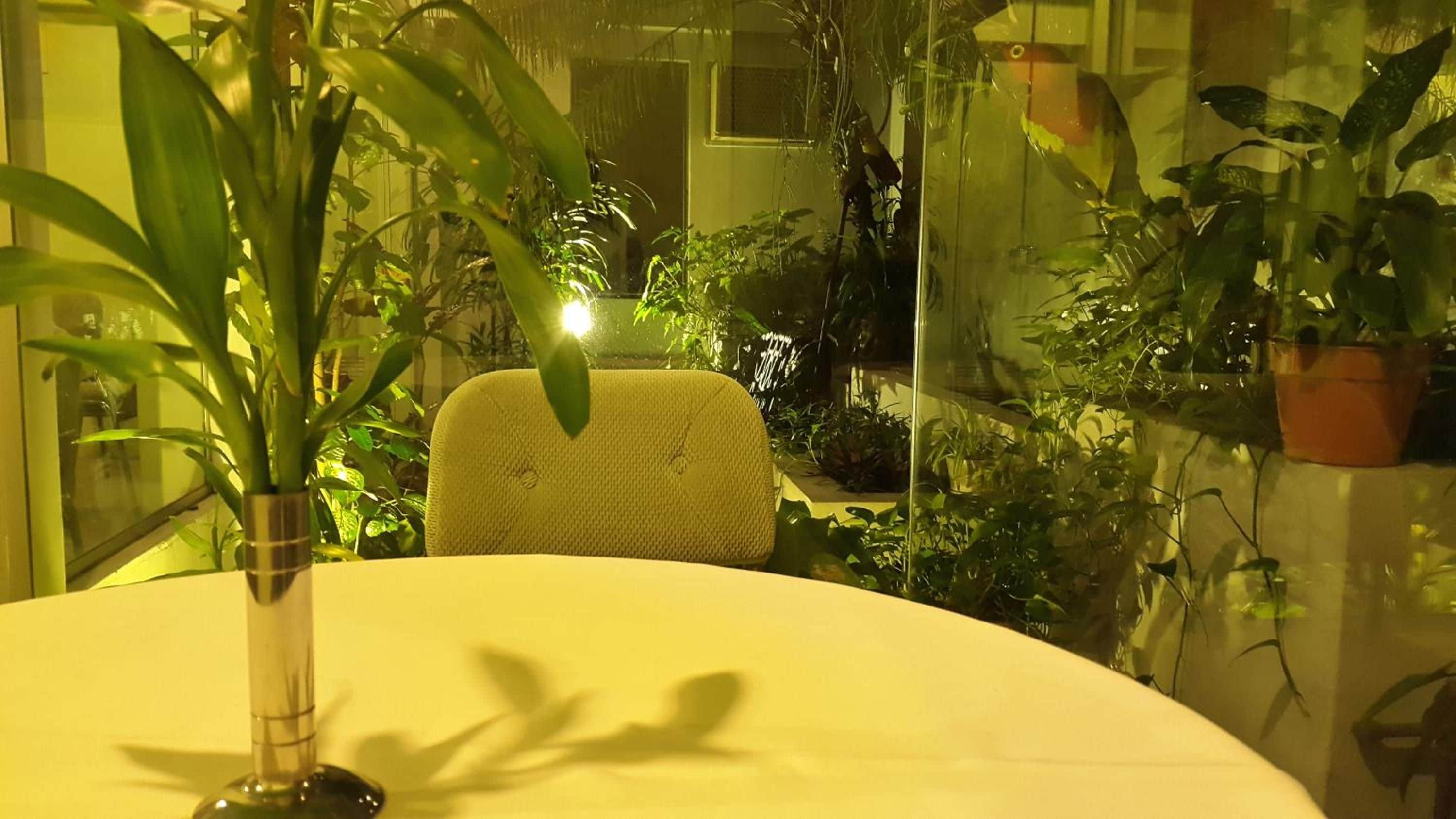 Foto - Hotel Amalfi