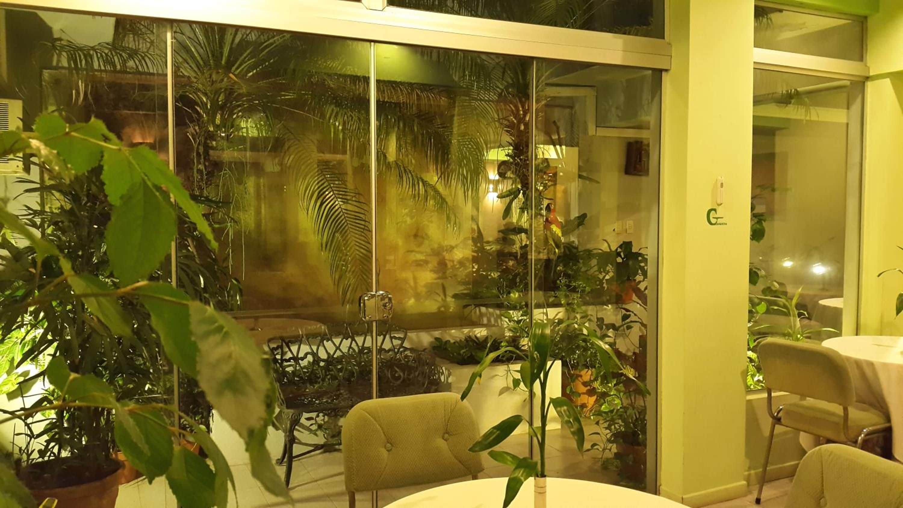 An indoor space with a glass partition, a dining table, chairs, and various potted plants.