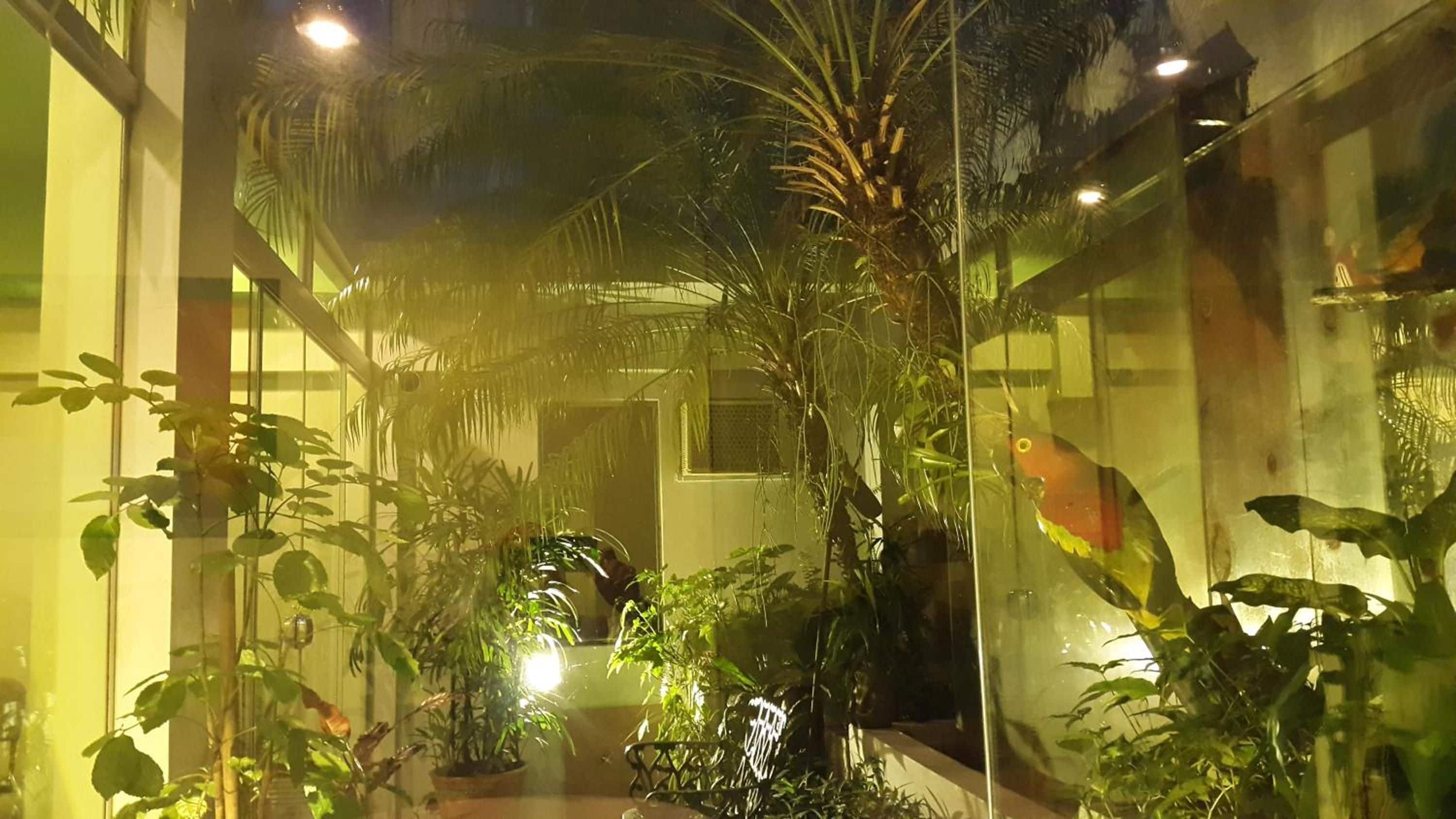Foto - Hotel Amalfi