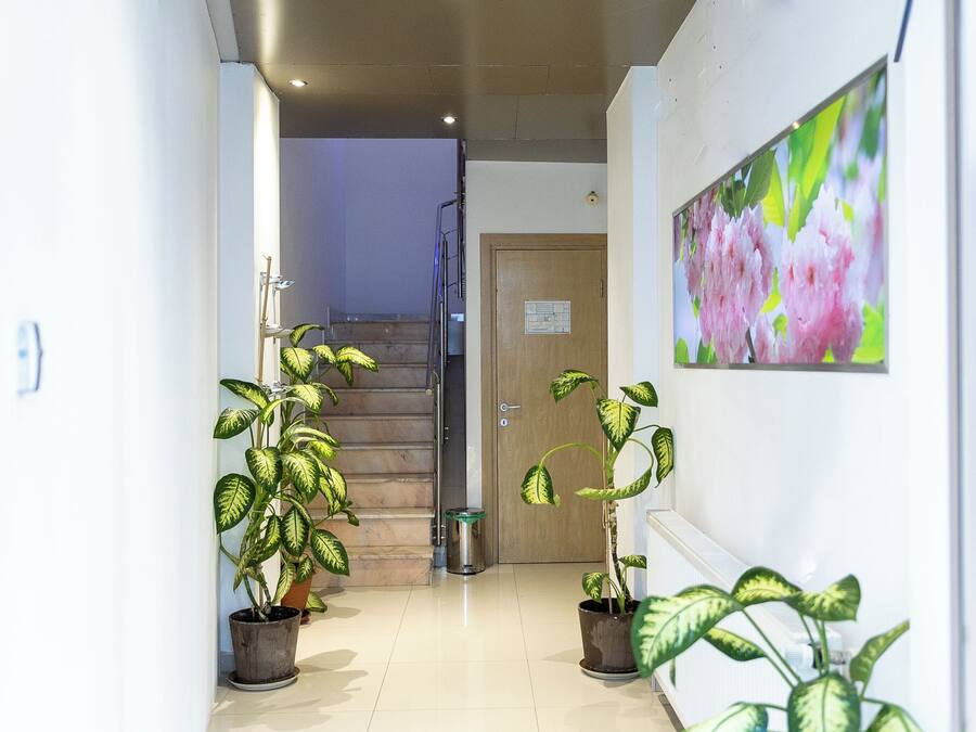 A hallway with potted plants, a staircase, and a door with a notice.