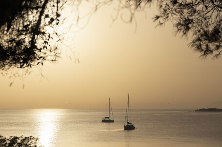 Four Seasons Astir Palace Hotel Athens - Image 86