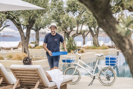 Four Seasons Astir Palace Hotel Athens - Image 98