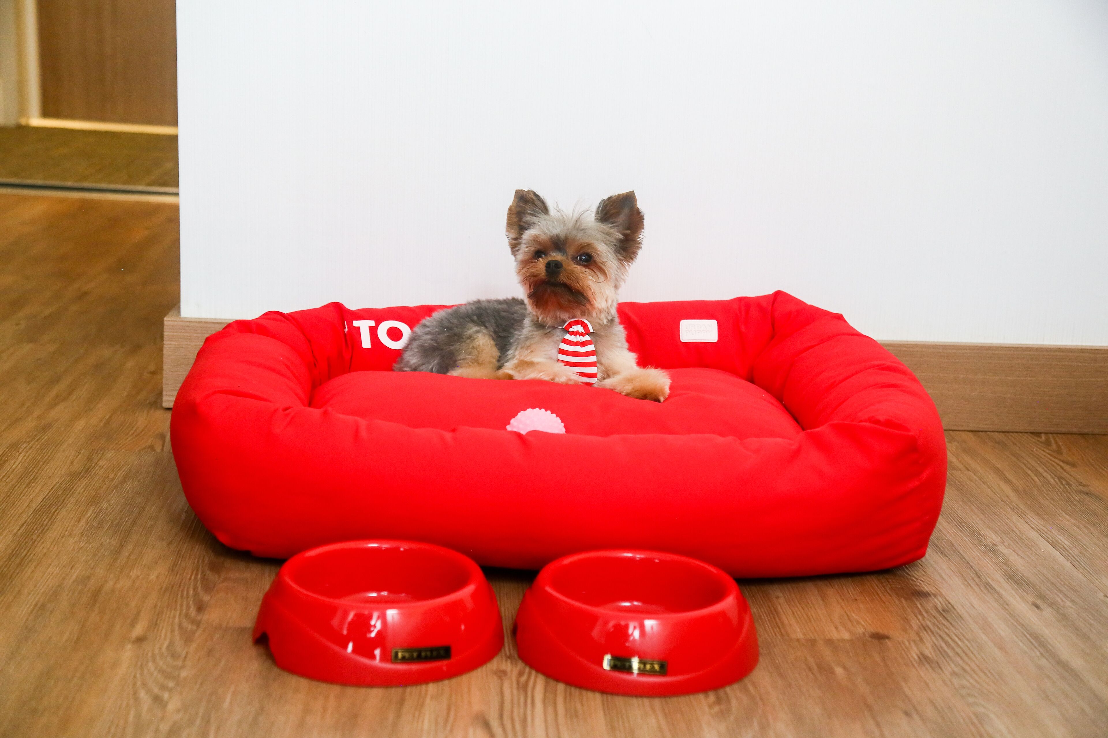 A small dog in a red pet bed with two red bowls in front of it.