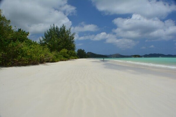 On the beach - Heliconia Grove (Praslin Island)