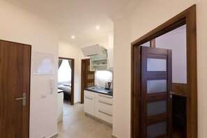 Luxury Apartment, 2 Bedrooms | Private kitchen | Fridge, microwave, oven, stovetop - Apartment Karla Capka Street (Karlovy Vary)