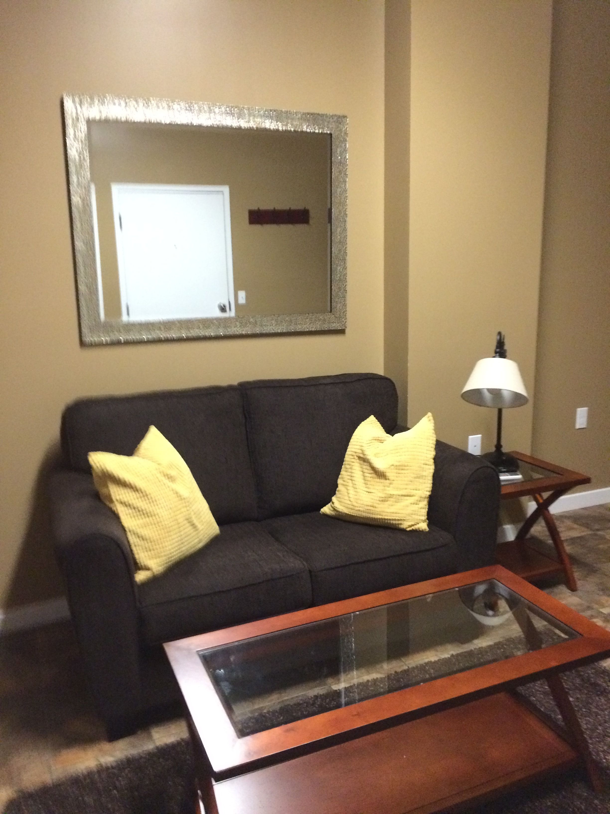 premium suite, 1 king bed, kitchenette | living area | flat-screen tv