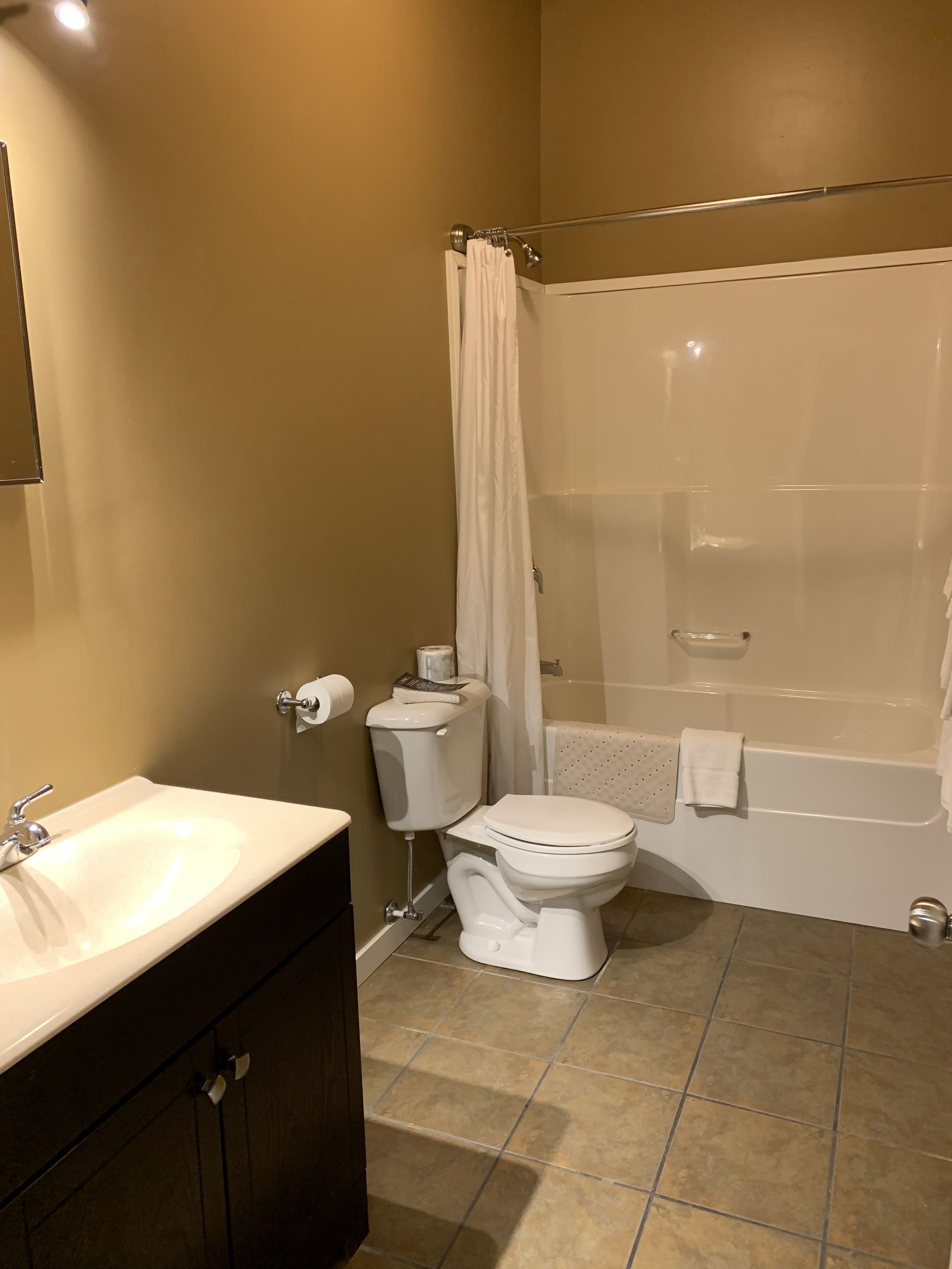 premium suite, 1 king bed, kitchenette | bathroom | combined shower/bathtub, free toiletries, hair dryer, towels