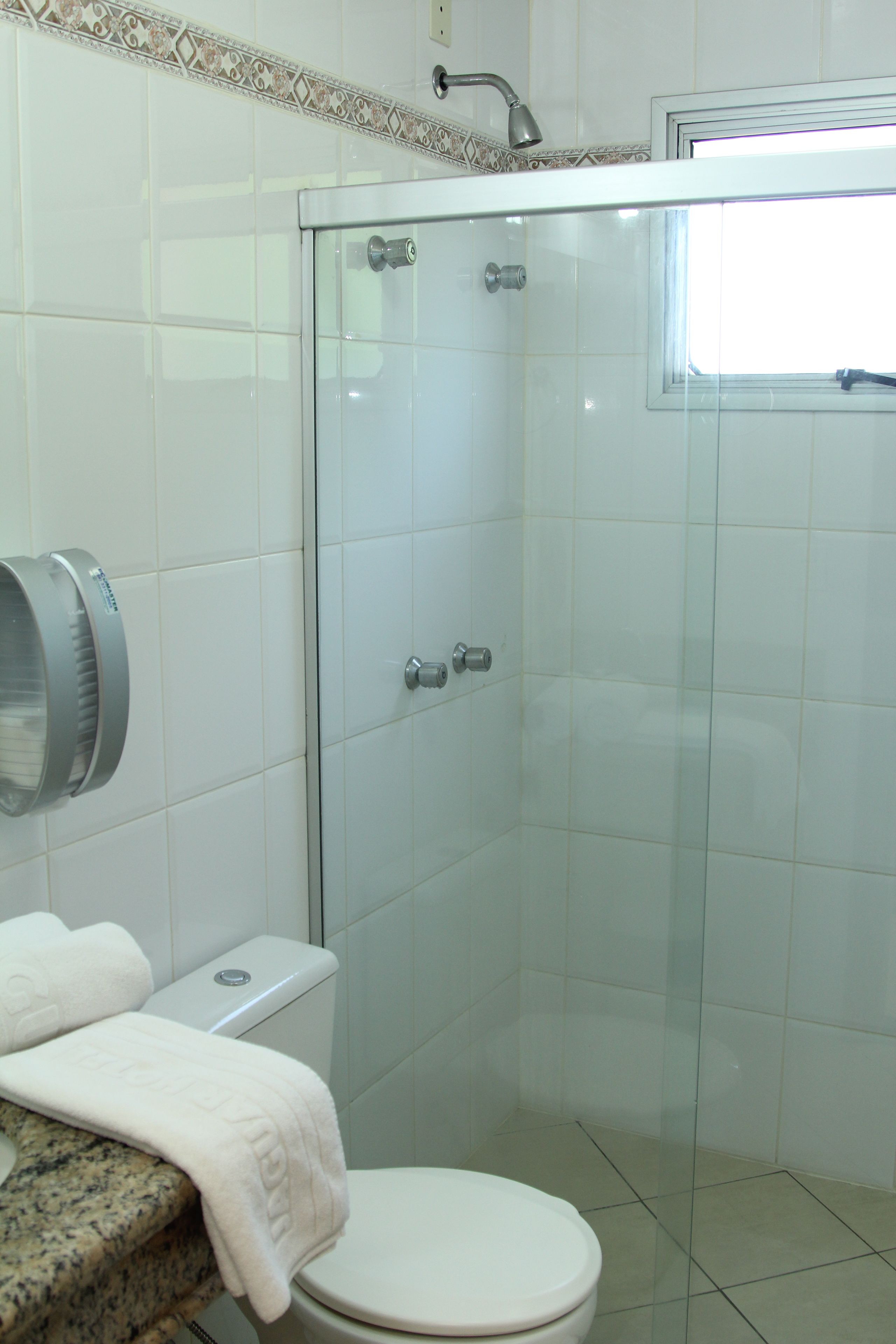 A bathroom with a glass-enclosed shower, a toilet, and a towel rack.