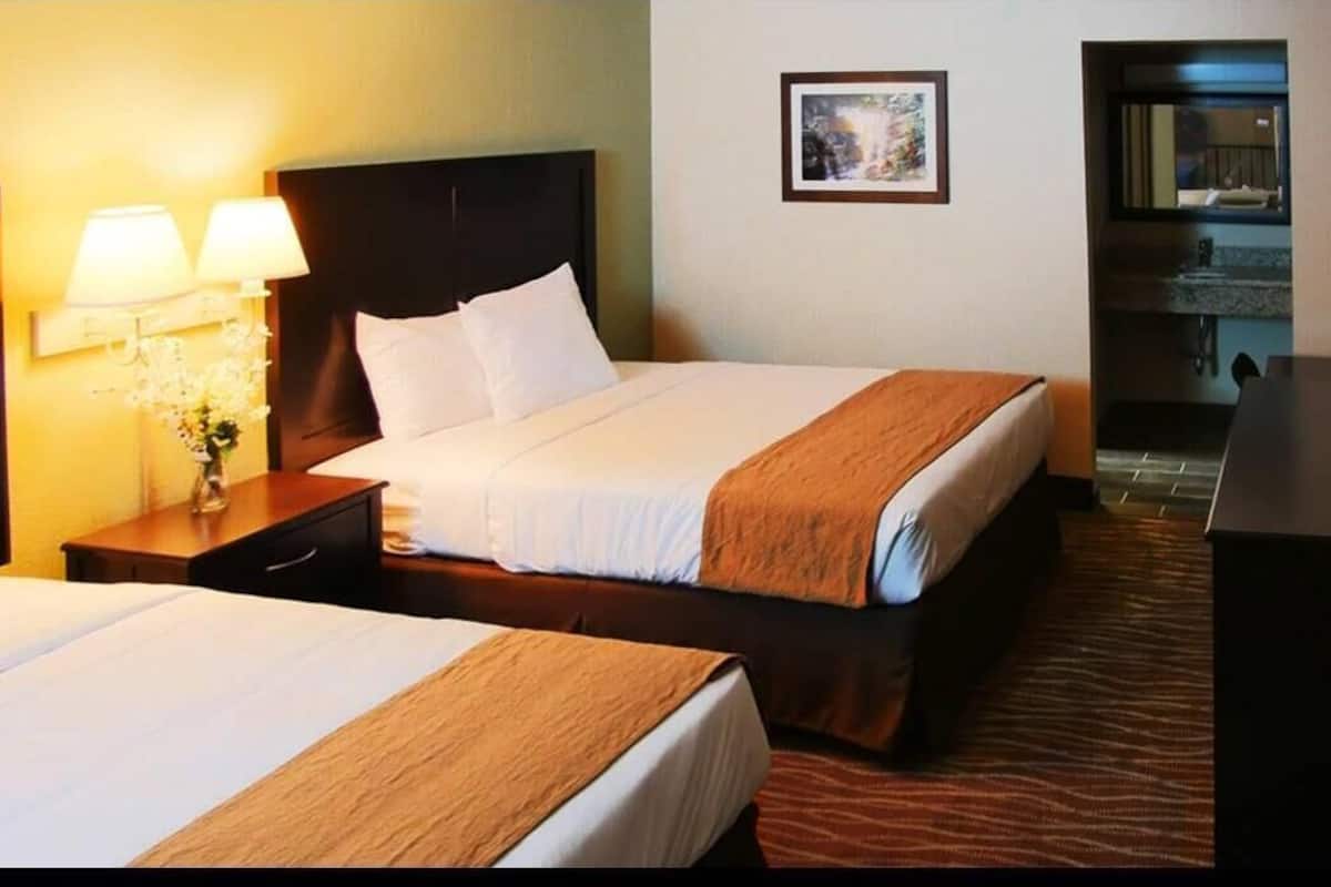 Desk, iron/ironing board, free cribs/infant beds, rollaway beds