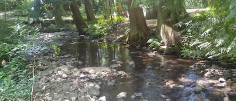 施設の敷地
