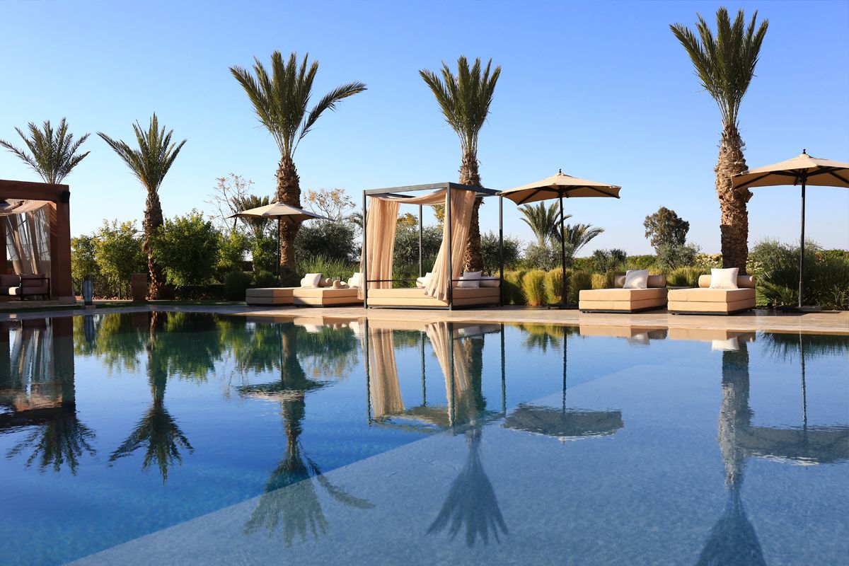 A pool area with lounge chairs and umbrellas, surrounded by palm trees.