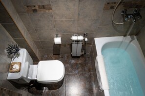 Combined shower/bathtub, free toiletries, hair dryer, towels