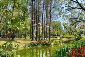 Parco della struttura