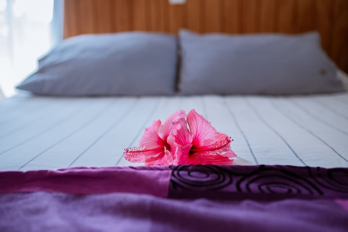 Cabane | 1 chambre, décoration personnalisée, ameublement personnalisé