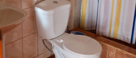 Ein Badezimmer mit Toilette, Waschbecken und einer gestreiften Duschvorhang.