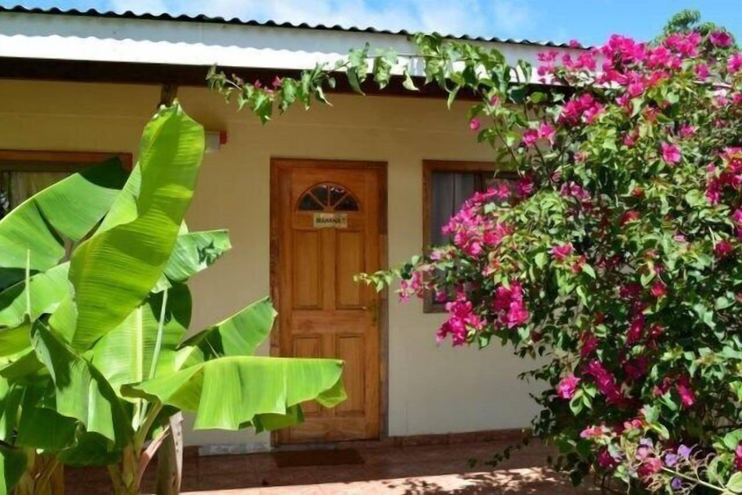 A building with a wooden door, a sign above it, and a large plant with broad leaves in front.