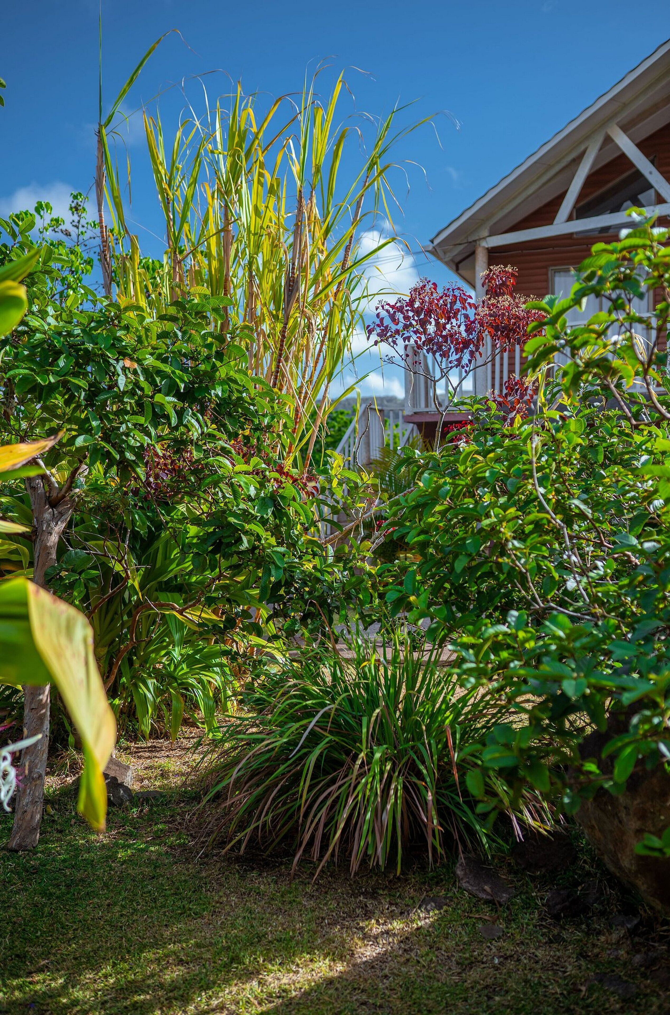 Familienhaus | Außendetails
