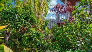 A lush garden with various plants and a wooden structure in the background. - Cabañas Vaiora (Hanga Roa)