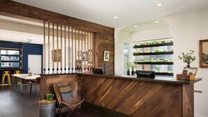 Un espace d’accueil avec un comptoir de réception en bois, un coin salon avec des chaises, une petite poubelle et une vue sur des plantes d’intérieur à travers une fenêtre.