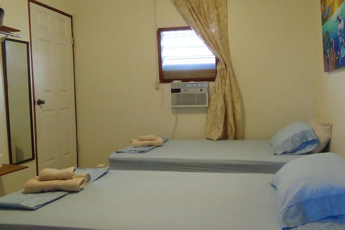 Une chambre avec deux lits simples, une fenêtre avec des rideaux, un appareil de climatisation et une porte.