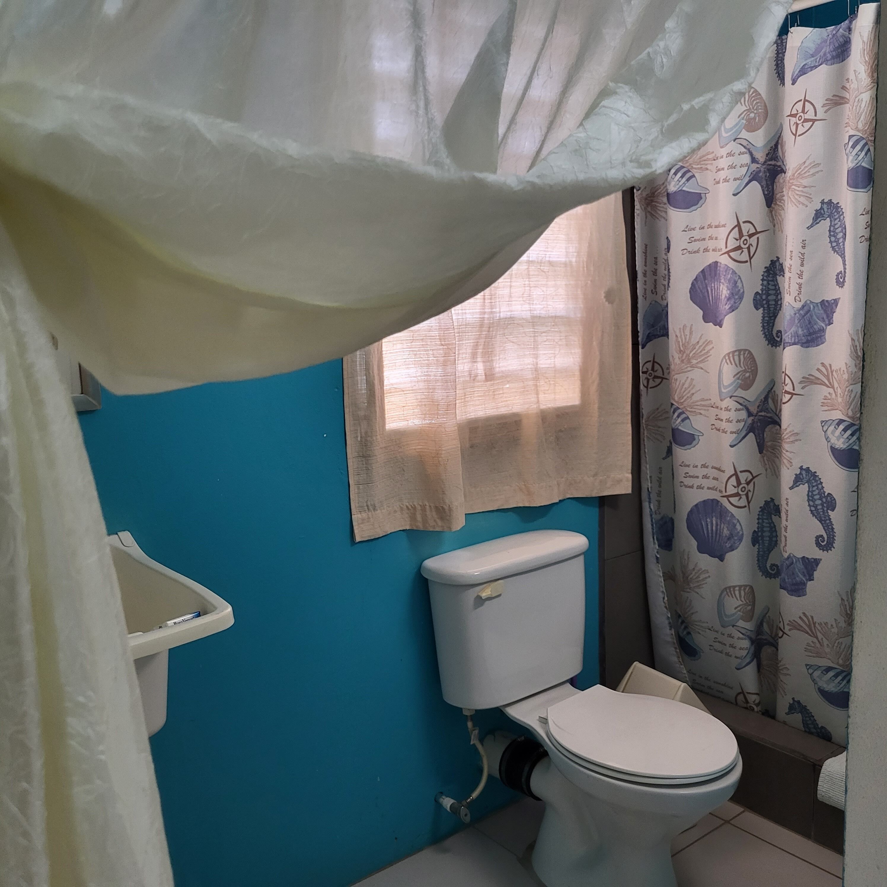 A bathroom with a toilet, a sink, and a shower curtain with sea creature patterns.